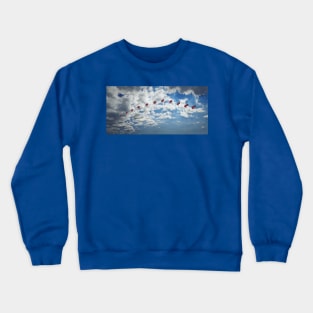 paragliding Crewneck Sweatshirt